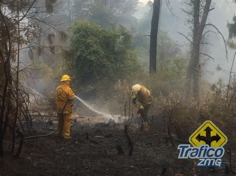 Sofocan Incendio Forestal En G Mez Far As Tr Fico Zmg