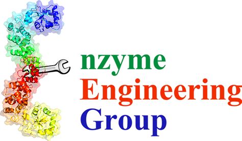 Eeg Enzyme Engineering Group Sdu