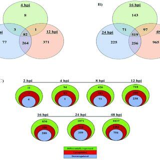 Global Gene Expression Data A Venn Diagrams Show An Overlap Of