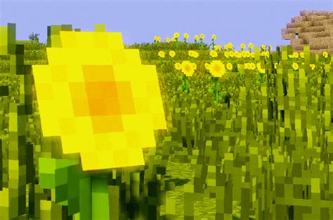 Flower Shader GIF - Find & Share on GIPHY