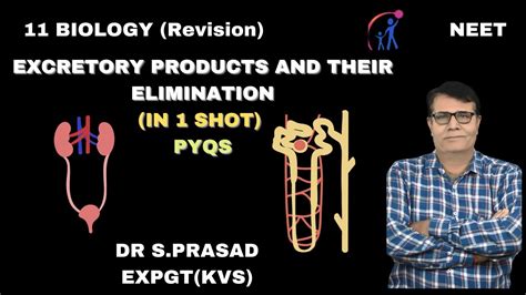 Excretory Products And Their Elimination In One Shot Xi Biology