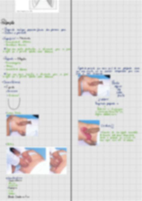 Solution Exame F Sico Abdominal Semiologia Studypool