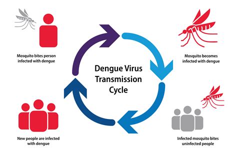 dengue resources american medical association