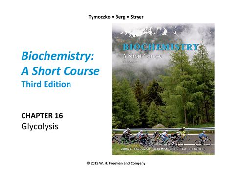 Chapter 16 Tymoczko Berg Stryer Biochemistry A Short Course