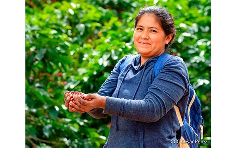 Equidad Y Participaci N De La Mujer Nicarag Ense Es Reconocida