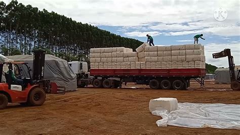 COMO É FEITO EMBARQUE EM CARRETA CARGA SECA 140 FARDOS DE PLUMA ALGODÃO