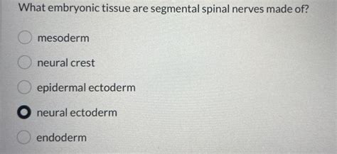 [solved] What Embryonic Tissue Are Segmental Spinal Nerves