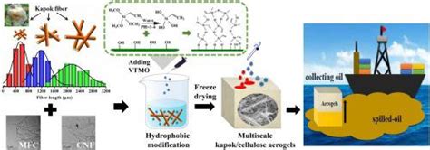 Multiscale Kapokcellulose Aerogels For Oil Absorption The Study On