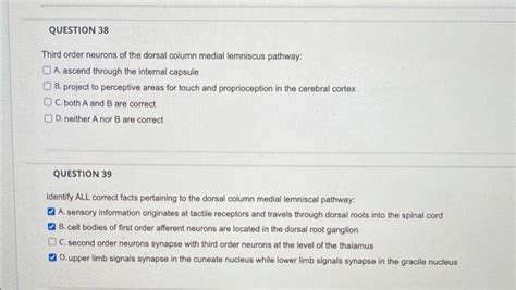 Solved QUESTION 38 Third order neurons of the dorsal column | Chegg.com 