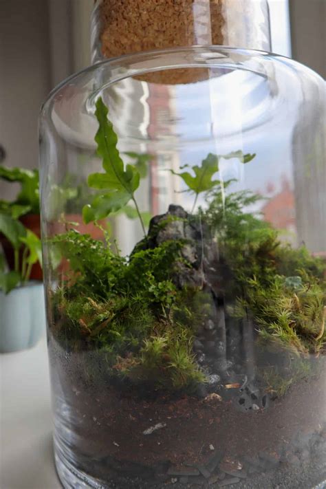 Discover 10 Unique Terrarium Themes to Spark Your Creativity