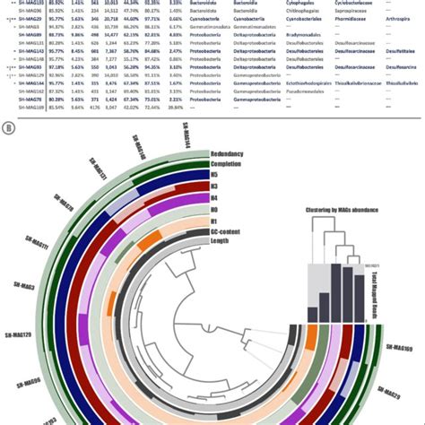 Salar De Huasco Metagenome Assembled Genomes A Summary Of Genomic