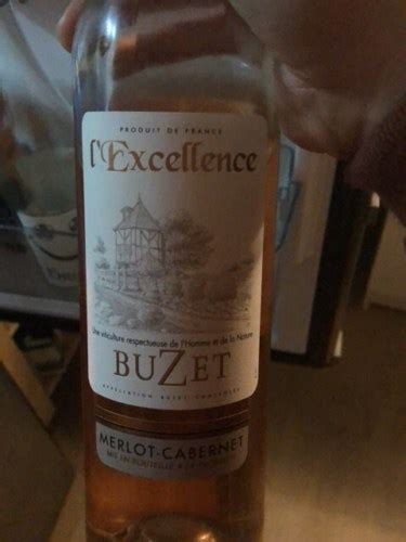 Les Vignerons De Buzet Lexcellence Ros Vivino