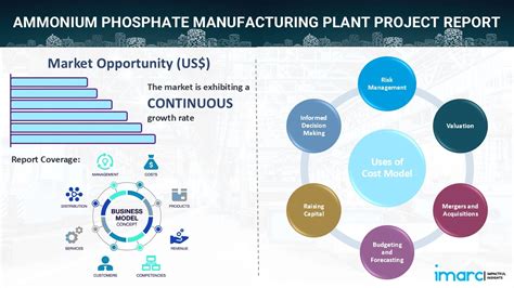 Ammonium Phosphate Production Plant Report 2025