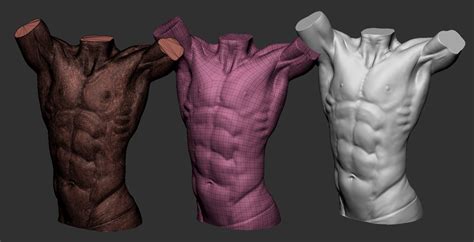 Artstation Male Torso Resources