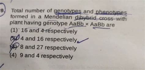 Total Number Of Genotypes And Phenotypes Formed In A Mendelian Dihybrid C