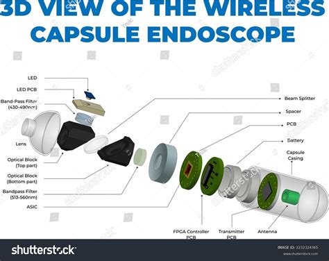 Endoscopy Capsule Images Browse Stock Photos Vectors Free