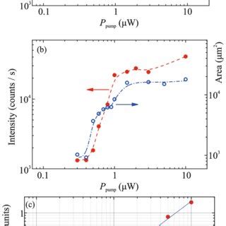 Color Online Intensity Of The Photoinduced Resonant Reflection Signal