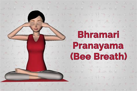 How To Do Bhramari Pranayama And What Are Its Benefits