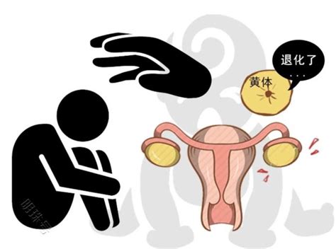 可怕！原来黄体功能不全离不开4大因素女性疾病频道东方养生