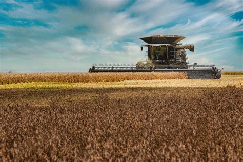 Consultoria reduz produção de soja do Brasil