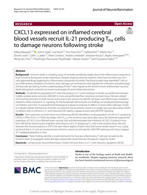 Pdf Cxcl Expressed On Inflamed Cerebral Blood Vessels Recruit Il