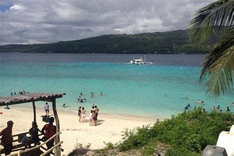 Oslob Whale Shark Encounter Sumilon Island And Tumalog Falls Tour