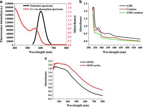 A UV Absorption And Fluorescence Spectra Of The MPA CdTe QDs B UV