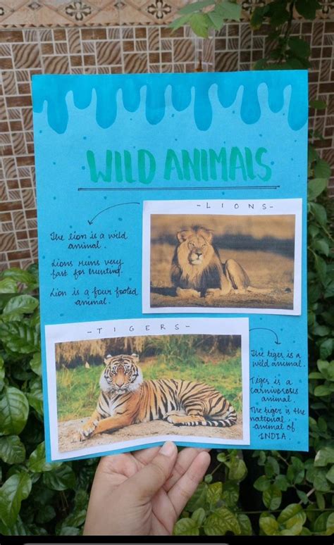 Wild animals project work page | English projects, Creative school ...