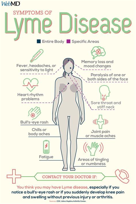 If Lyme Disease Is Not Detected And Treated In Its Early Stages It Can