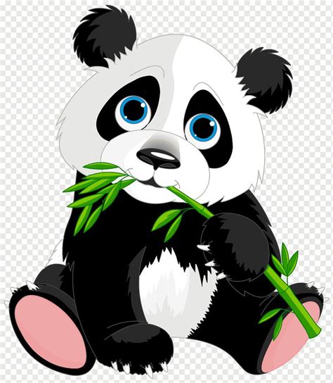 Cute Panda Cartoon Illustrations - Giant & Red Pandas