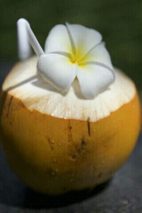 Quench Your Thirst With A Refreshing Thambili Or King Coconut Sri