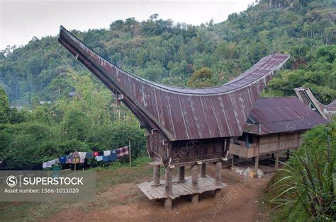 Toraja traditional house in tana toraja, sulawesi,indonesia - SuperStock