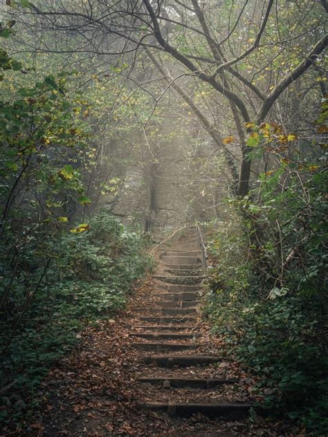 A Rock Staircase From The Bottom In A Foggy Autumn Forest Moody Horror