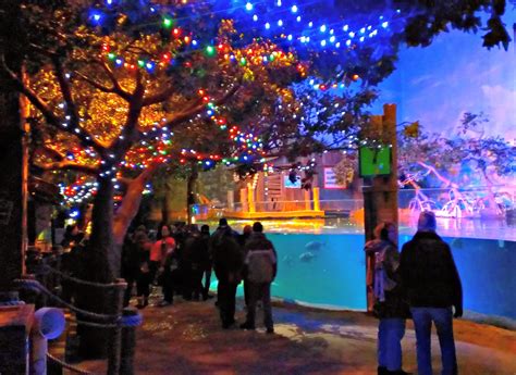 Cbus52 Columbus In A Year Wildlights At The Columbus Zoo And Aquarium