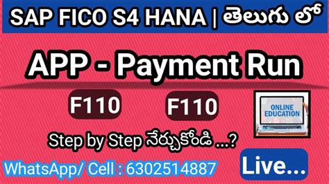 APP RUN F110 Complete Running In SAP FICO Automatic Payment Run In