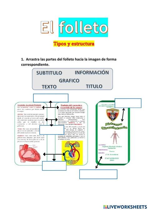 Folleto Online Worksheet Partes Del Folleto Sustantivos Y Sus Clases