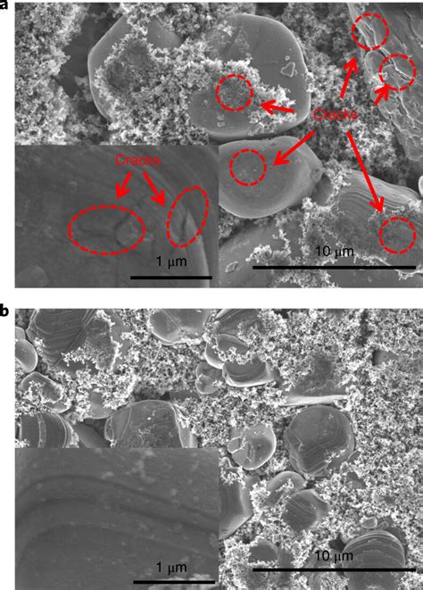 Sem Characterization Of P Lco And D Lco Particles After The Cycling