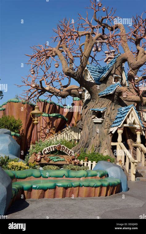 Chip N Dale Treehouse In Mickey S Toontown Disneyland Resort Theme