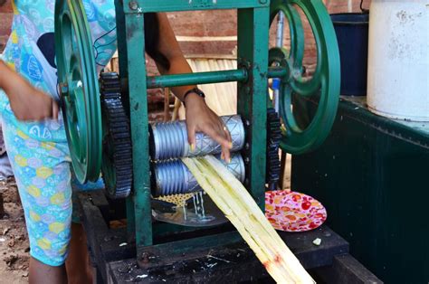 Traditional Cuban Street Food From Havana To Punta Maisí