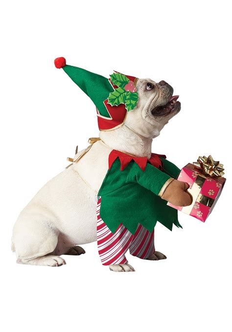 Pet Elf Dog Costume