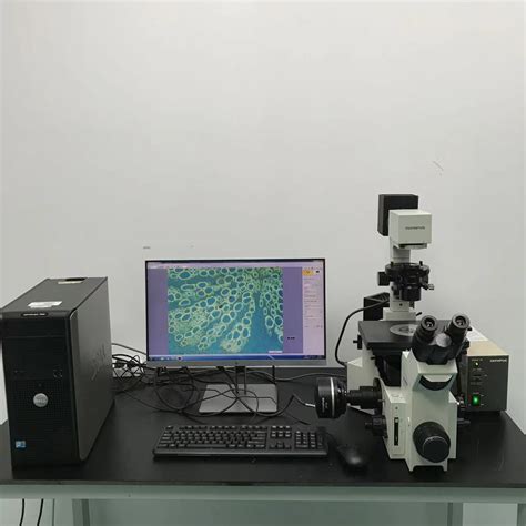 上海木森 二手奥林巴斯IX70倒置荧光显微镜 三色荧光 显微镜 光学 成像 化学分析 产品 产品 上海木森生物科技有限公司官网