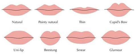 Classification of the lip shapes. | Download Scientific Diagram