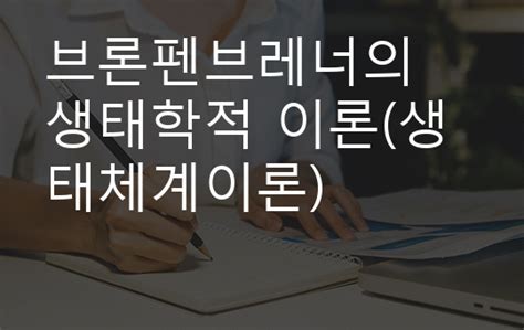 브론펜브레너의 생태학적 이론생태체계이론