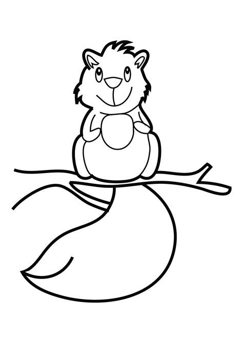 Free Printable Squirrel Coloring Pages For Kids - Animal Place