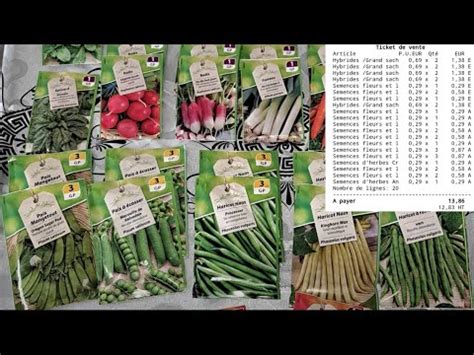 Potager Moindre Co T Faut Il Oser Les Graines De Lidl Youtube