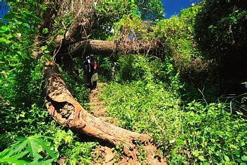 Trekking From Madhavadhara To Simhachalam At Visakhapatnam