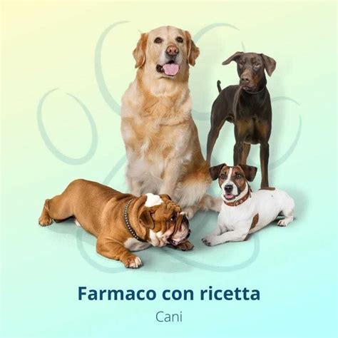 Apoquel 5 4 Mg 100 Compresse Per Cani FarmaPets