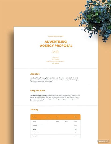 Sample Advertising Agency Proposal Template Advertising Industry