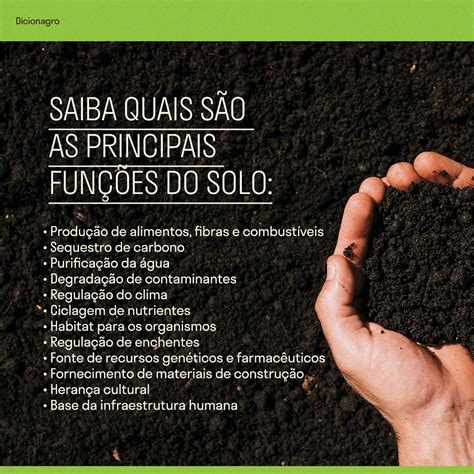 Conheça os principais tipos de solos do Brasil Produzindo Certo