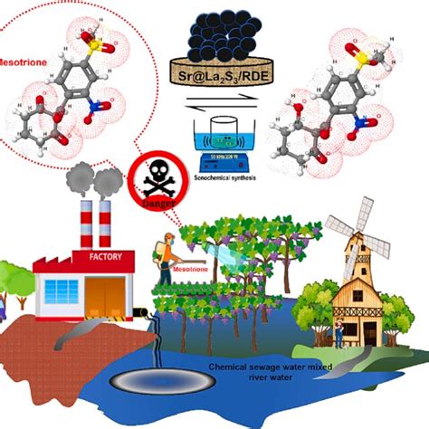 Scheme 1 Schematic Representation For The Electrochemical Sensors And